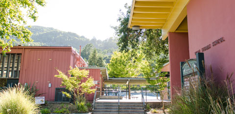 Wade Thomas School